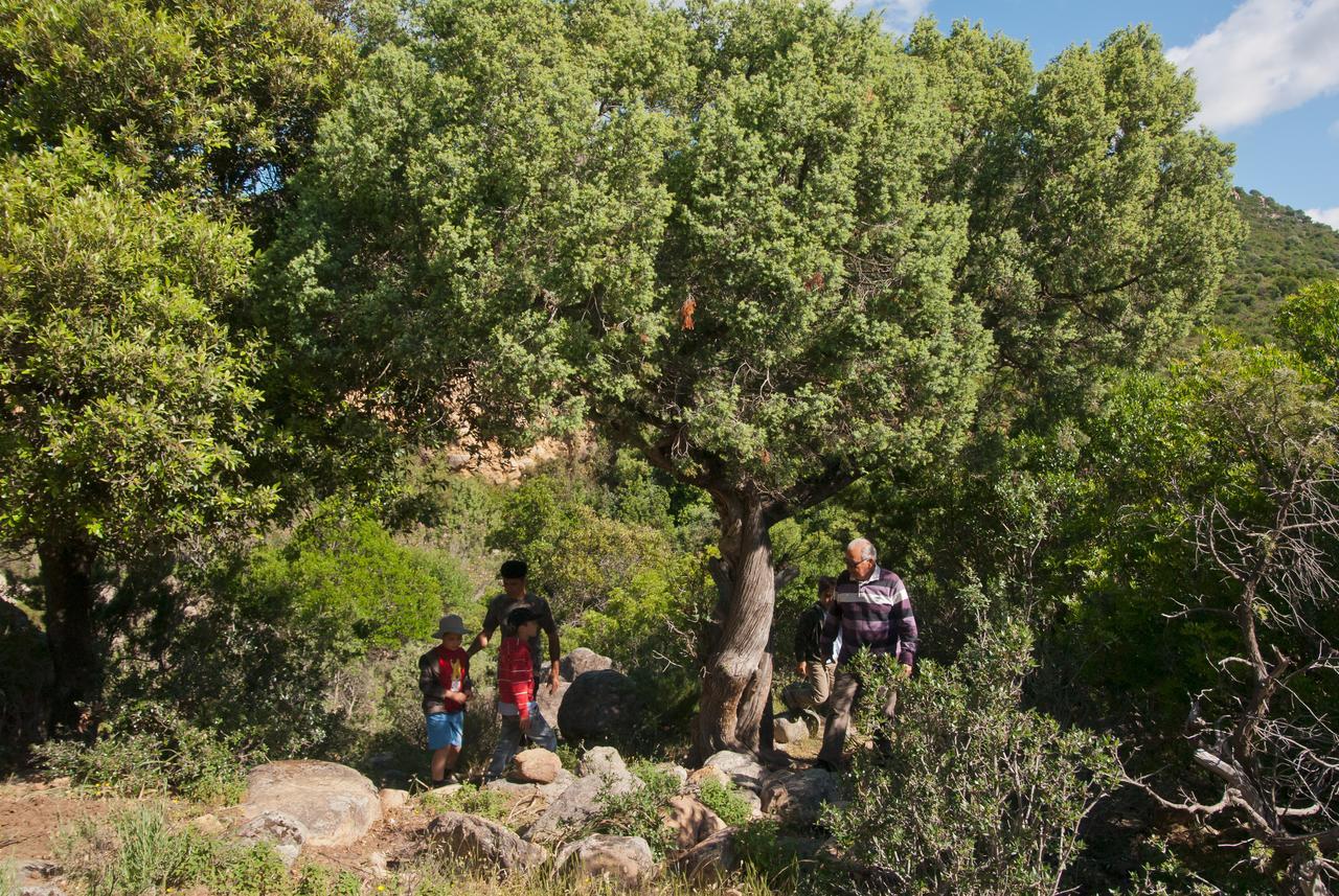 Hotel I Menhirs Annunziata  Dış mekan fotoğraf