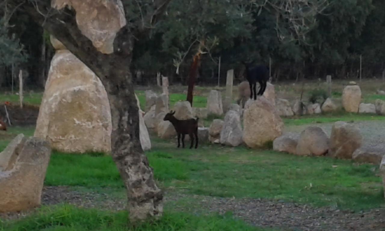 Hotel I Menhirs Annunziata  Dış mekan fotoğraf